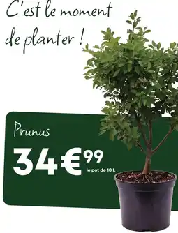 Ma Jardinerie Prunus offre