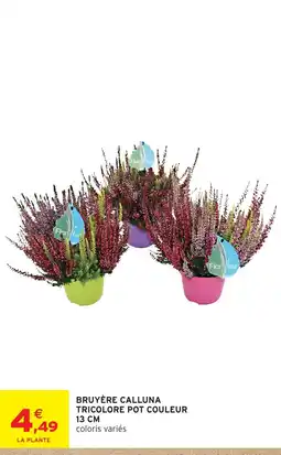 Intermarché Hyper Florfair Bruyère Calluna offre