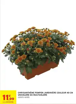 Intermarché Hyper LA JARDINIÈRE CHRYsanthème pompon offre