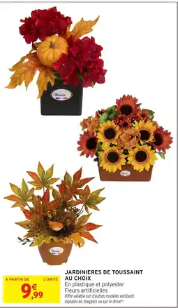 Intermarché Hyper Thérèmin JARDINIÈRES DE TOUSSAINT offre