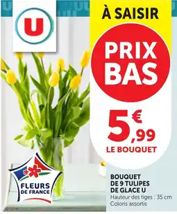 Bi1 TULIPES DE GLACE U offre