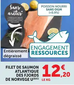 Bi1 Sans arêtes Filet de saumon atlantique des fjords de norvège offre