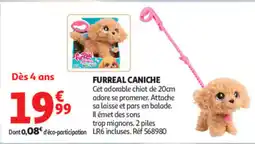 Auchan FURREAL CANICHE offre