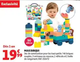 Auchan LUDI MAXIBRIQUI offre