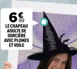 Zoé Confetti Le chapeau adulte de sorcière avec plumes et voile offre