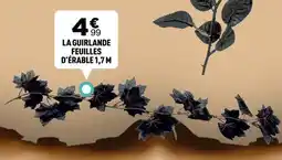 Zoé Confetti La guirlande feuilles d'erable offre