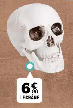 Zoé Confetti Le crâne offre