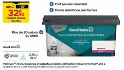 Castorama GoodHome Peinture couleur offre