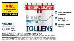 Castorama TOLLENS Peinture blanche offre