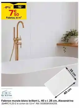 Castorama Alexandrina Faïence murale blanc brillant offre