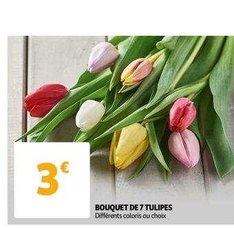 Auchan Bouquet de 7 tulipes offre