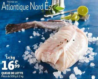 Auchan Queue de lotte offre
