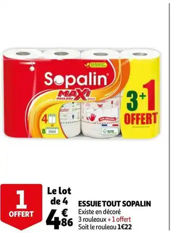 Auchan Sopalin essuie tout offre