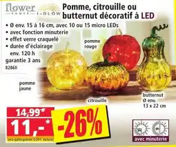 Norma flower I-GLOW Pomme, citrouille ou butternut décoratif à LED offre