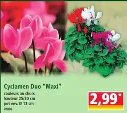 Norma Cyclamen Duo "Maxi" offre
