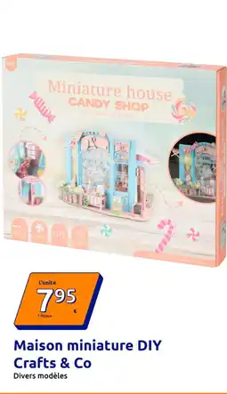 Action Crafts & Co Maison miniature DIY offre