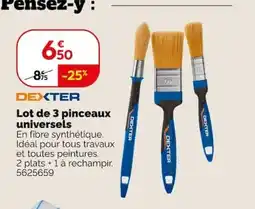 Weldom DEXTER pinceaux universels offre