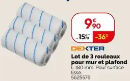 Weldom Dexter lot de 3 rouleaux pour mur et plafond offre
