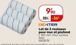 Weldom Dexter lot de 3 rouleaux pour mur et plafond offre