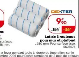Weldom DEXTER rouleaux pour mur et plafond offre