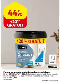 Weldom LUXENS Peinture murs, plafonds, boiseries et radiateurs offre