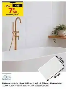 Castorama Goodhome - faïence murale blanc brillant, alexandrina offre