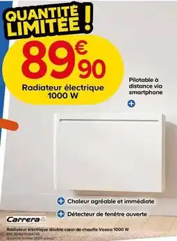 Castorama Carrera - radiateur électrique double coeur de chauffe vossia 1000 w offre