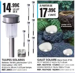 Shopix TULIPES SOLAIRES offre