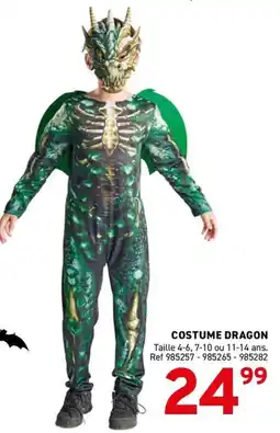 Trafic Costume dragon offre