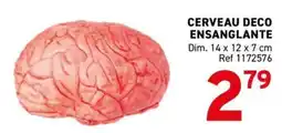 Trafic CERVEAU DECO ENSANGLANTE offre