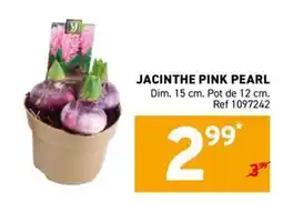 Trafic JACINTE PINK PEARL offre