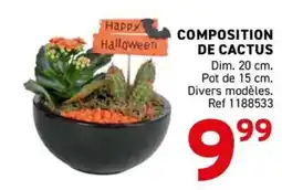 Trafic COMPOSITION DE CACTUS offre