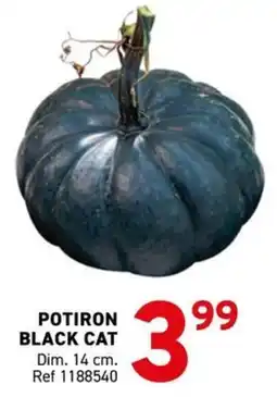 Trafic POTIRON BLACK CAT offre