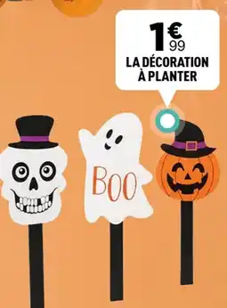 Centrakor La decoration a planter offre