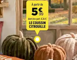 Centrakor Le coussin citrouille offre
