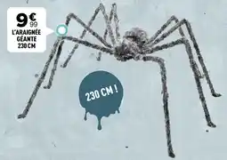 Centrakor L'ARAIGNÉE GÉANTE offre