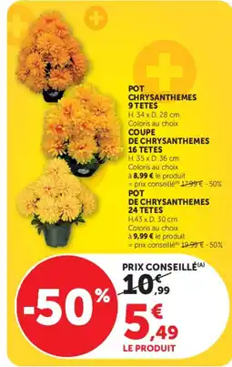 Super U Pot chrystanthemes offre