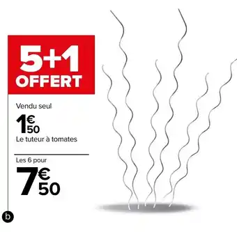 Carrefour Tuteur à tomates en spirale offre