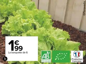 Carrefour Salade BIO offre