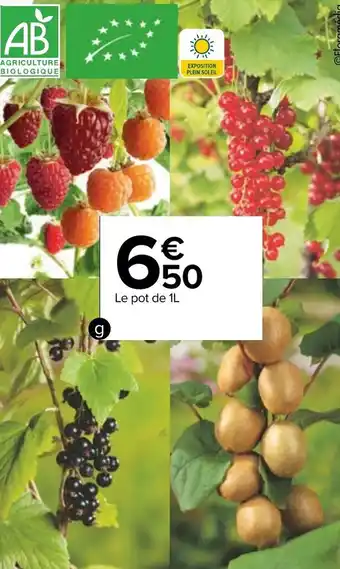 Carrefour Petit fruit offre