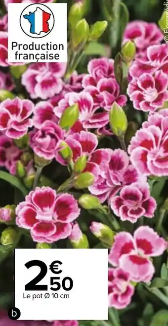 Carrefour Œillet offre