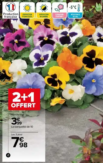 Carrefour Pensée offre