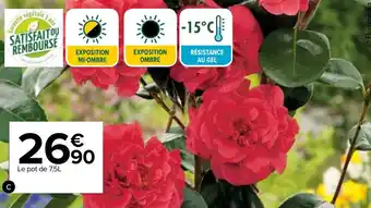 Carrefour Camélia offre
