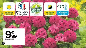 Carrefour Rhododendron offre