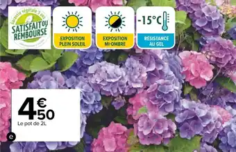Carrefour Hortensia offre