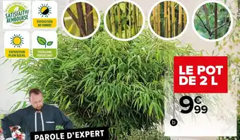 Carrefour Collection de bambous offre