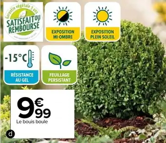 Carrefour Buis boule offre