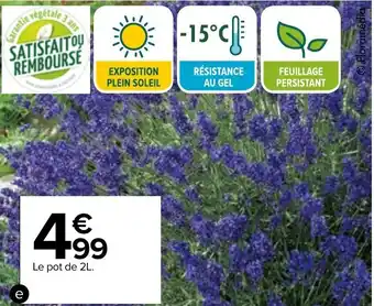Carrefour Lavande offre