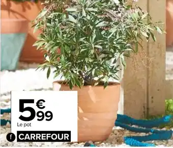Carrefour Pot futuna terre cuite offre