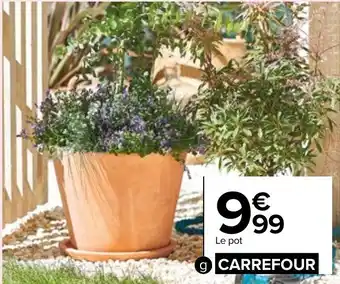 Pot en terre